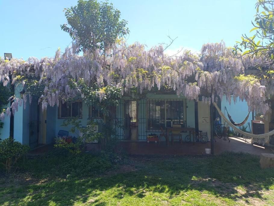 Casa Quinta Con Pileta Villa Chascomús Esterno foto