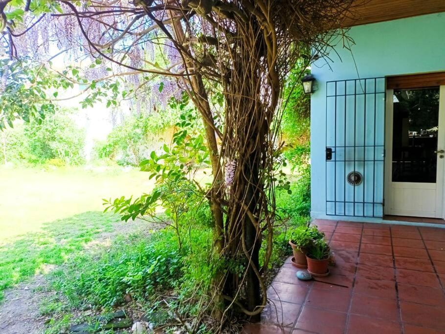 Casa Quinta Con Pileta Villa Chascomús Esterno foto