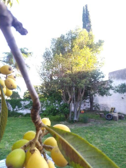 Casa Quinta Con Pileta Villa Chascomús Esterno foto